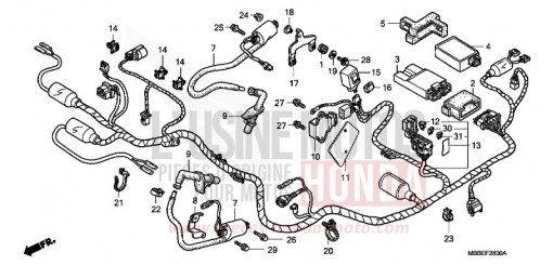 WIRE HARNESS VTR1000F6 de 2006